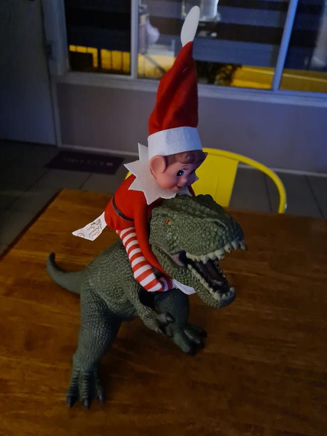 The elf is on the ride of its life in 2023. Picture: Natasha Anderson