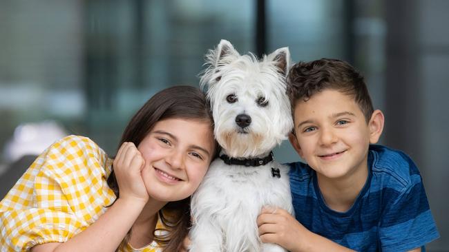 Woolworths has been given approval by the ACCC to buy a controlling stake in the nation’s second largest pets services and products business PETstock. Picture: Jason Edwards