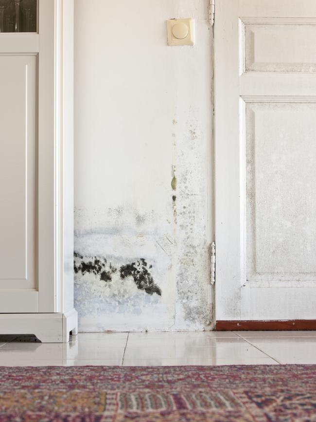 Rising damp can cause structural problems as well as mould.