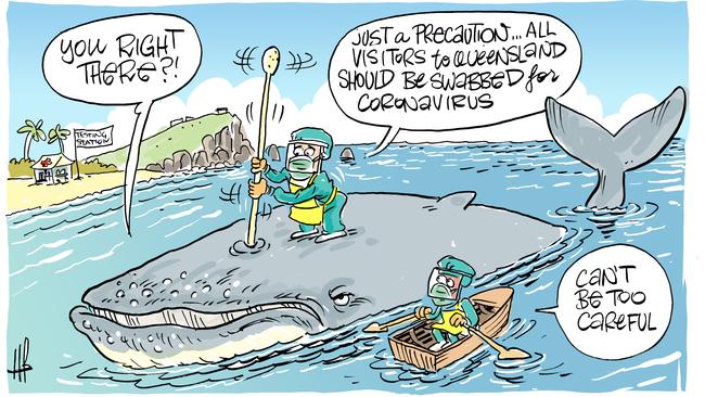 Cartoonist Harry Bruce's take on whales being spotted in Mackay.