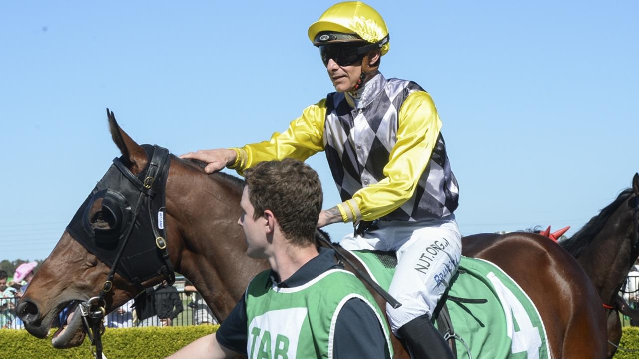 Zoomorphic can make it back-to-back wins at Dubbo on Sunday after waiting a long time to break his maiden. Picture: Bradley Photos