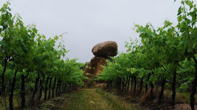 Balancing Rock Wines, one of the wineries on the Strange Bird Alternative Wine Trail. Picture: TEQ