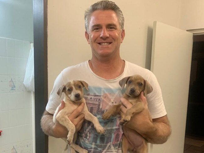 Joel bowden with vote winning puppies