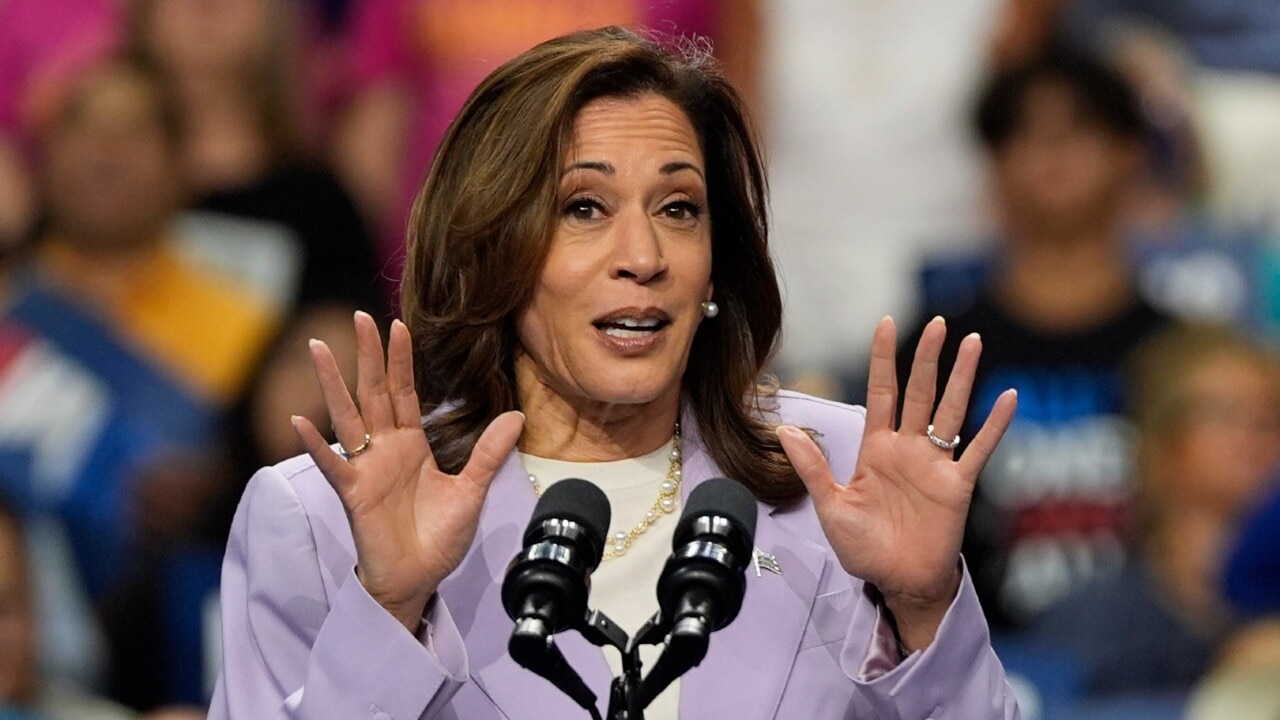 Kamala Harris expected to stay as ‘light on policy’ as possible | Sky ...