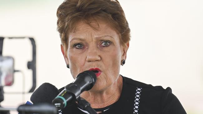 Pauline Hanson says foreign buyers should be banned from purchasing a home in Australia’s housing market. Picture: NCA NewsWire / Martin Ollman