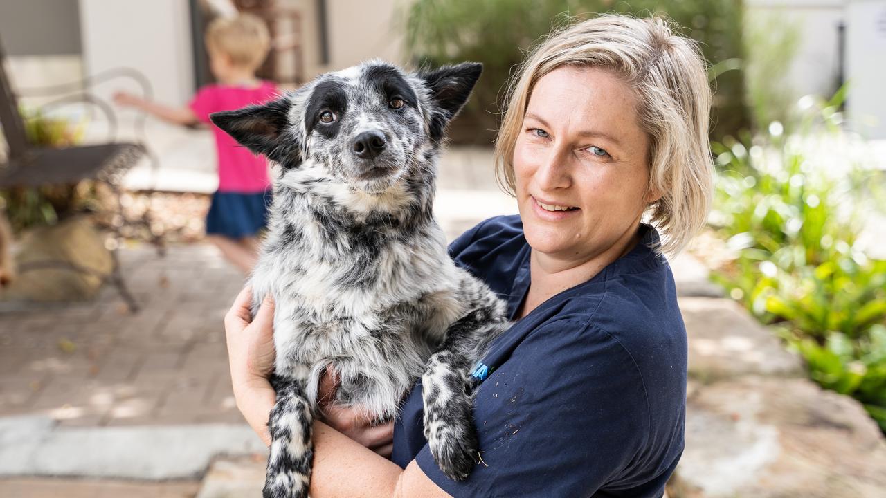 Calls for RSPCA animal rescue shelter in Western Downs | The Courier Mail