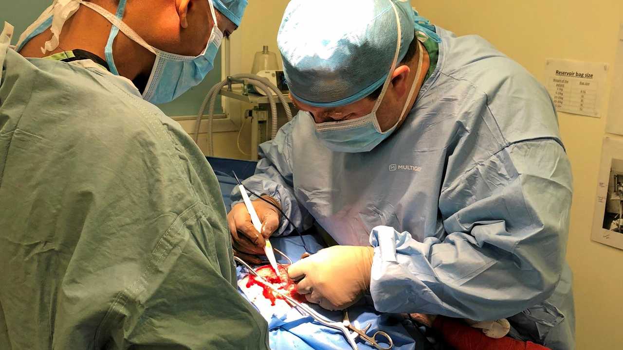 Papua New Guinea vet Dr Julius (left) with Toowoomba's Dr Tom Smith operating on husky Maui. Picture: Contributed