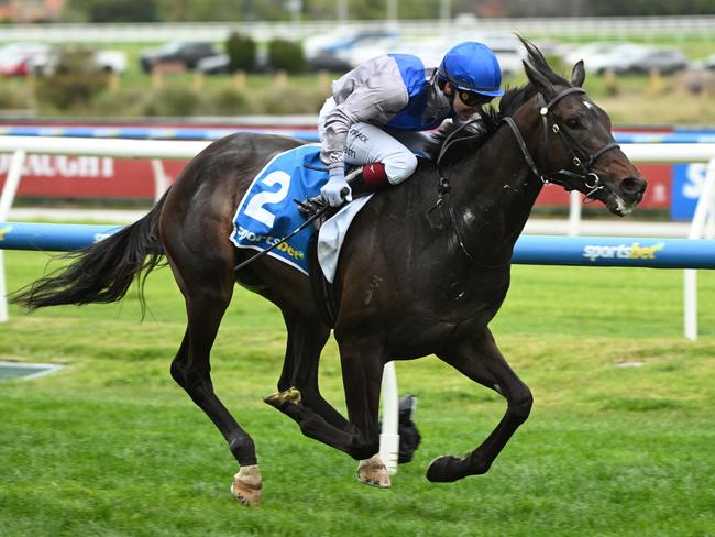 Ben Melham riding Angel Capital at Caulfield Racecourse on September 21, 2024. (Photo by Vince Caligiuri/Getty Images)