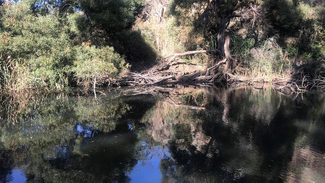 Hepburn Shire Council and Mount Alexander Shire Council have proposed to rename Jim Crow Creek to Larni Barramal Yaluk following public pressure over the racist name. Picture: Contributed, Hepburn Shire Council