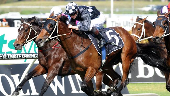 Rosehill race by race: Hallowed Crown remains unbeaten with dashing ...