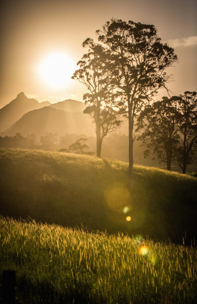 View of Mount Warning, near Byron Bay, northern NSW.