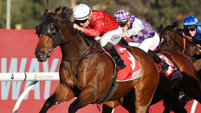 Reece Jones guides Jojo Was A Man to victory in the Listed Winter Challenge at Rosehill. Picture: Getty Images