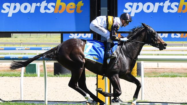 A big increase in online betting on racing and sport by Australian punters during COVID-19 has delivered a huge profit for bookmaker Sportsbet. (Pat Scala/Racing Photos via Getty Images)