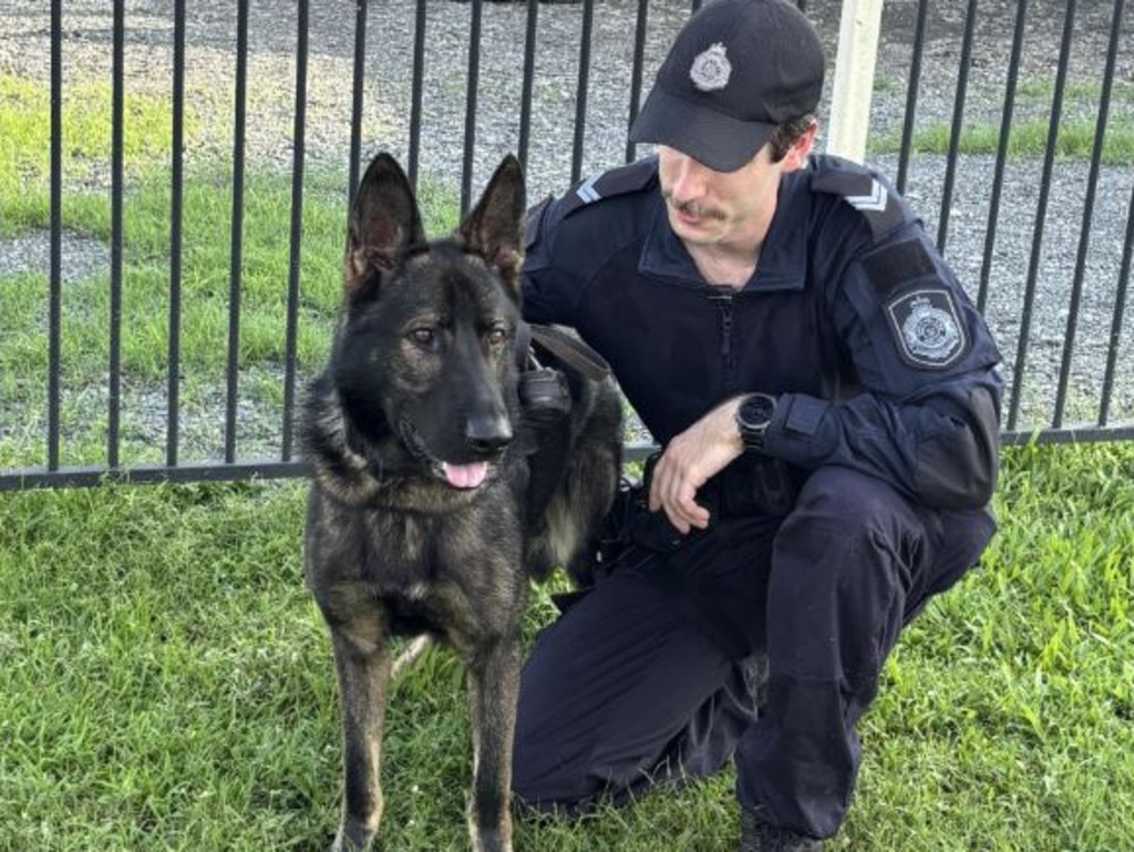 Heroic police Dog DJ and his handler Senior Constable Connor O’Sullivan are pictured: Picture: myPolice Far North