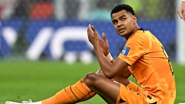 Netherlands' forward #08 Cody Gakpo gestures on the ground during the Qatar 2022 World Cup quarter-final football match between Netherlands and Argentina at Lusail Stadium, north of Doha, on December 9, 2022. (Photo by MANAN VATSYAYANA / AFP)