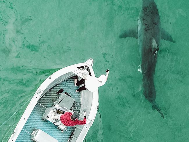 Shark zone: Australia’s most dangerous beaches