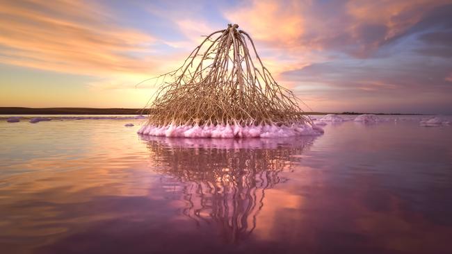 Lake Tyrrell glows pink at Sea Lake, Victoria. Picture: Parks Victoria