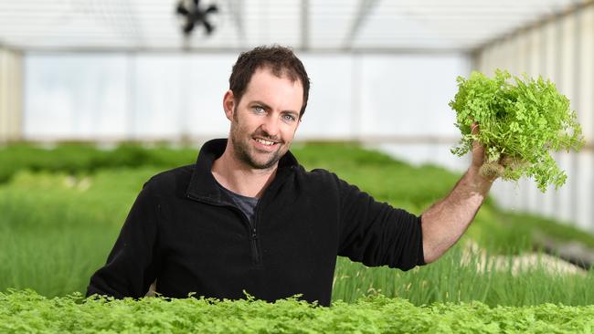 Michael Russo from Fresh Herb Company still plans to sell gourmet lettuce for $2.50 each. Picture: Jason Sammon.