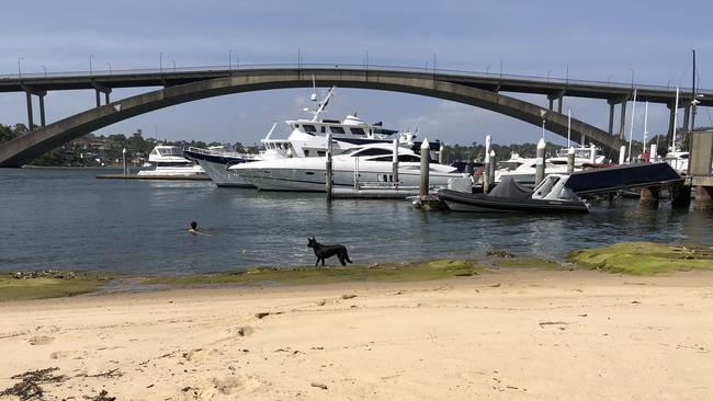 The marina pictured from Howley Park. Picture: Supplied