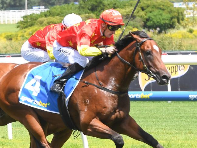 High Octane ridden by Mark Zahra wins the Sportsbet Blue Diamond Preview (C&G) at Caulfield Racecourse on January 26, 2024 in Caulfield, Australia. (Photo by Brett Holburt/Racing Photos via Getty Images)