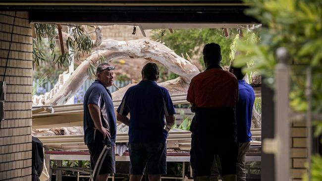 Wayne Couch was killed when the tree branch fell onto his pergola. Picture: Mike Burton