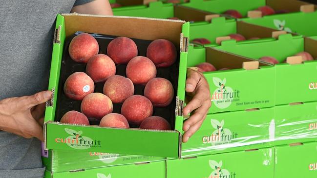 Cutri Fruit, near Swan Hill, was convicted and fined $750,000 after a 70-year-old worker died almost three years ago. Picture: File (Zoe Phillips).