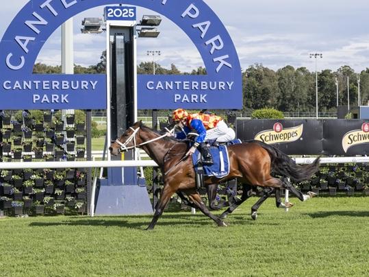Autumn Boy denies stablemate Central Coast (inside, obscured) in the opening race at Canterbury on Monday. Picture: Bradley Photos