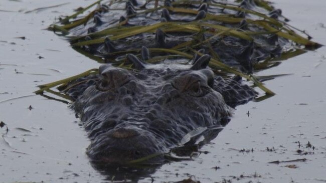 Erich Schoebinger snapped this photo of a croc 'stalking' him on a fishing charter at Corroboree Billabong.