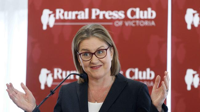 Victorian Premier Jacinta Allan. Picture: David Geraghty