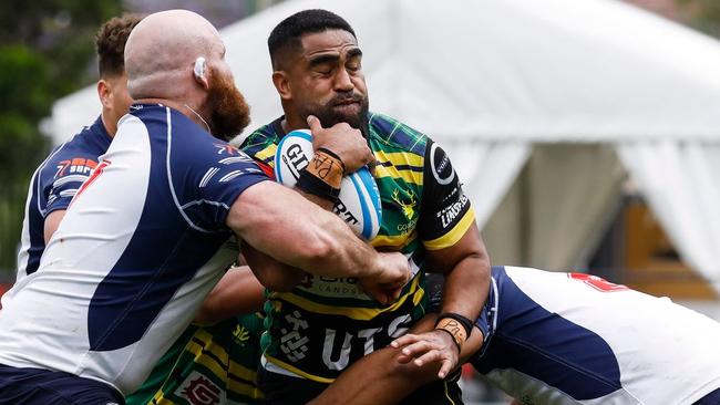 Gordon on their way to winning the Shute Shield against Eastwood. Pic: Karen Watson