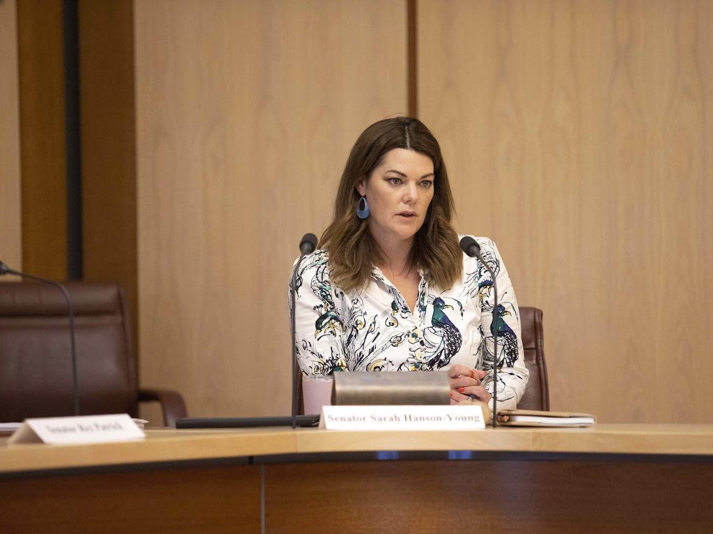 Sarah Hanson-Young described the allegation as ‘disturbing’ and ‘very serious’. Picture: NCA NewsWire / Gary Ramage