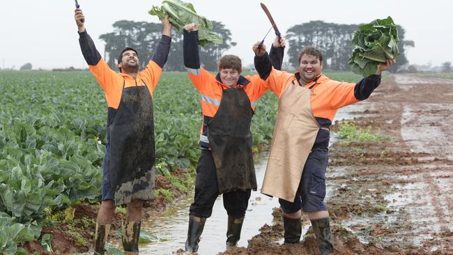 Glorious mud: Werribee South cauliflower growers Andrew Zanghi, Jayden Maraca and Matt Carlesso, dance in the rain. Picture: Greg Scullin