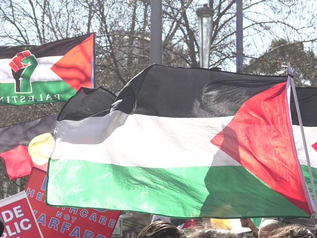 MELBOURNE,AUSTRALIA-NewsWire Photos 25 AUGUST, 2024: Protesters gather at the State Library in Melbourne to call for peace and an end to the current Israeli occupation of Palestine and the ongoing war between the two nations, as Israel pushes further into the Gaza strip. Picture: NewsWire / Valeriu Campan