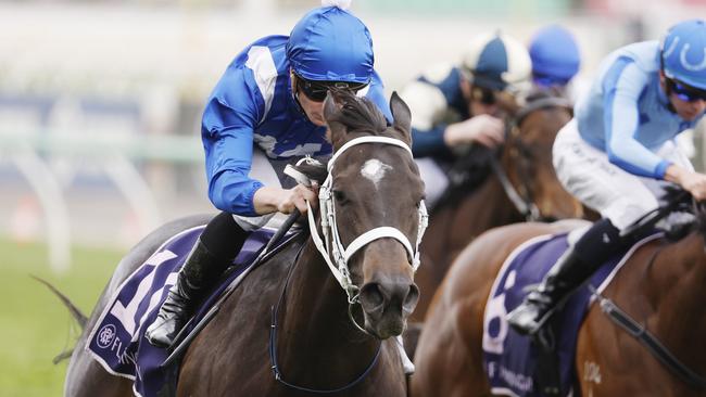 Amelita tracked a wide path from barrier one to win the Red Rose Stakes at Flemington. Picture: Michael Klein