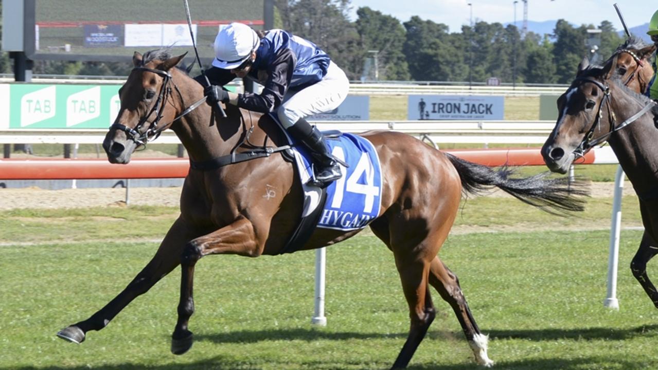 Impressiero can land her second career win at Nowra. Picture: Bradley Photos