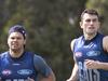 Power capable of breaking Geelong drought: Hinkley