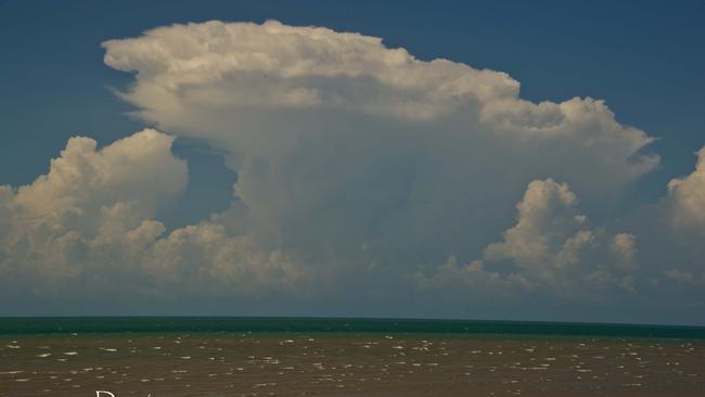 Hector the Convector appears every afternoon during the wet season.