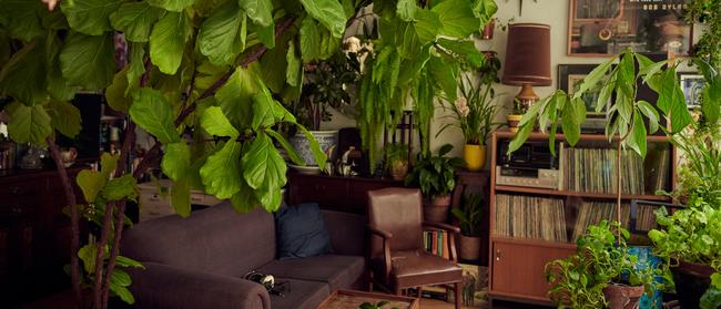 Gaylene Krajewski has a one bedroom Melbourne apartment which is filled with over 120 plants, Pics: Eugene Hyland