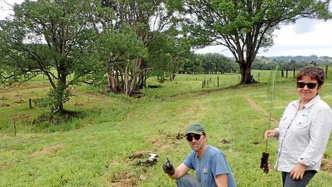 RESTORATION: Corndale farmer Jean Marc Furio and Lismore City Council Environmental Strategies Officer Angie Brace working on a restoration project as part of the Rural Landholder Initiative. Picture: Contributed