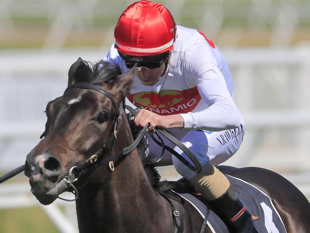 Nash Rawiller on Yao Dash wins race 1 the Strawberry Hill Stud Handicap at Royal Randwick Racecourse on September 07, 2019. Picture: Mark Evans/Getty Images