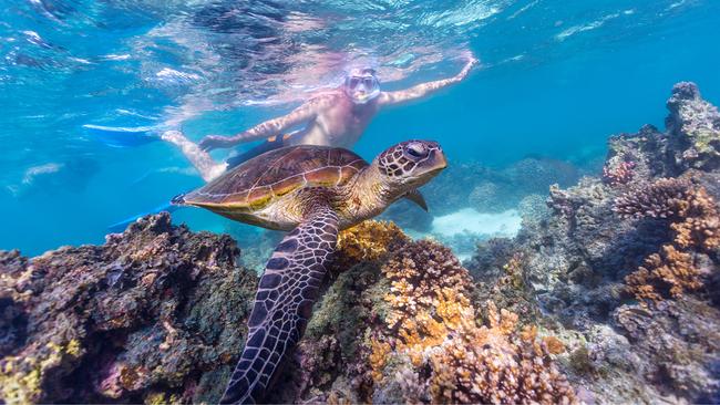 Turquoise Bay on the Ningaloo Coast is a snorkeller's dream. Picture: Tourism WA