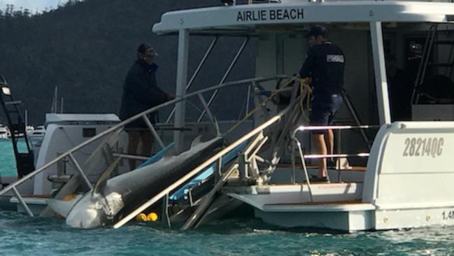 A tiger shark is caught on a drumline in Cid Harbour on Sunday.