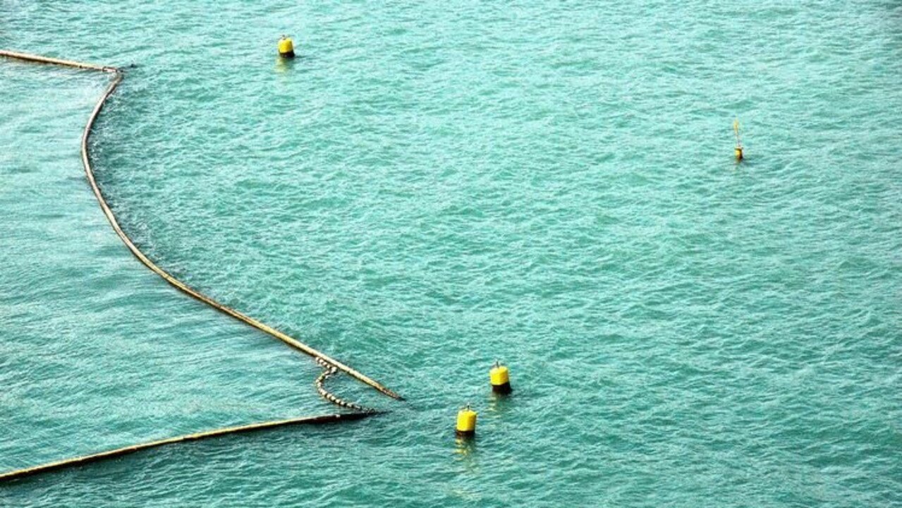 Just one fatal shark attack has been recorded at a netted beach in NSW since 1937.