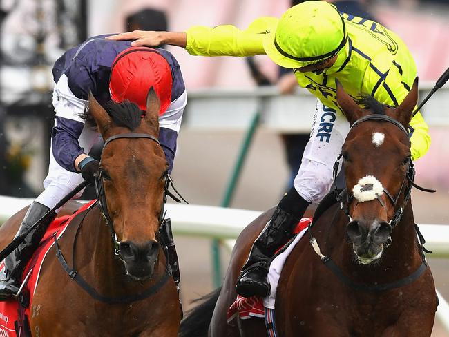 Melbourne Cup 2016 Results, Winner, Last Place, Scratchings | News.com ...