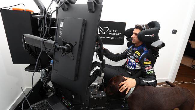 Nick Percat, Supercar driver for Brad Jones Racing, competes as his dog Nelson looks on, during round 1 of the Supercars All Stars Eseries at Phillip Island and Monza. Picture: Robert Cianflone/Getty Images