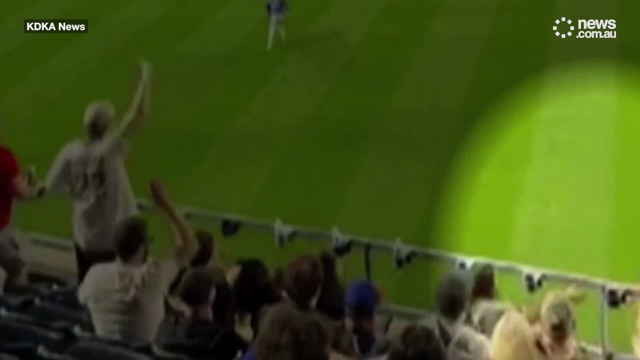 New vision of fan falling shows what went wrong