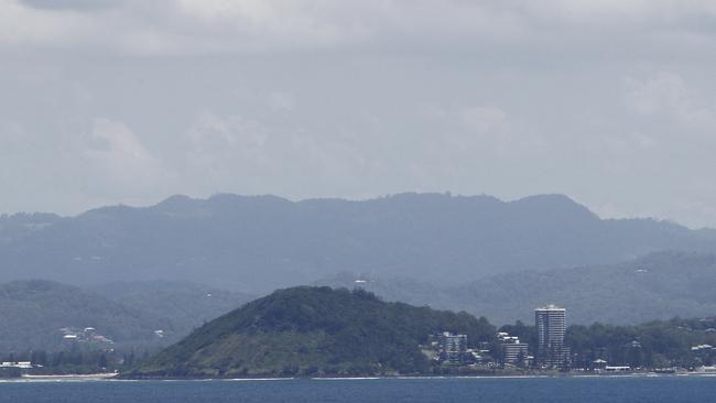 Burleigh Head National Park needs to be carpet bombed according to environmentalists. Photo: Kit Wise