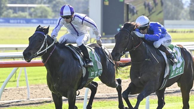 Cryptonic (left) looks well placed to break his maiden at Wyong. Picture: Bradley Photos