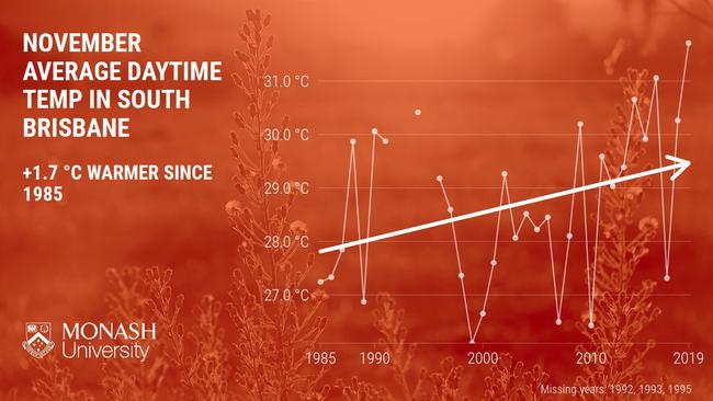 A typical November day in south Brisbane is 1.7 degrees warmer now than it was 35 years ago. Southwest Brisbane, 4 November 2020, Source: Monash University.