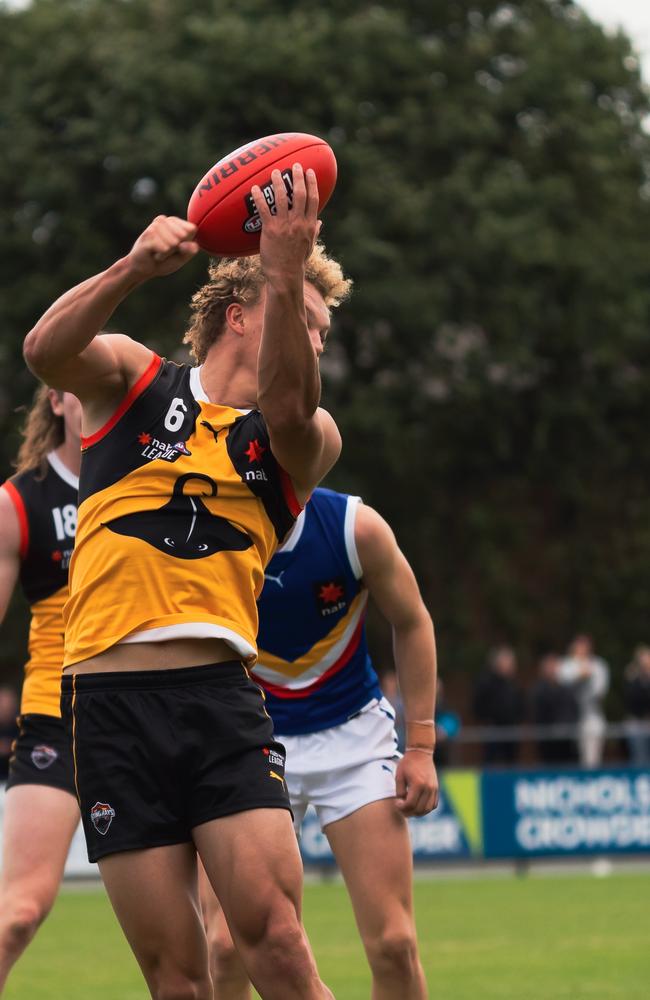 Taj Campbell Farrell of the Dandenong Stingrays gets away a handball. Pic: Jasmine Bennett